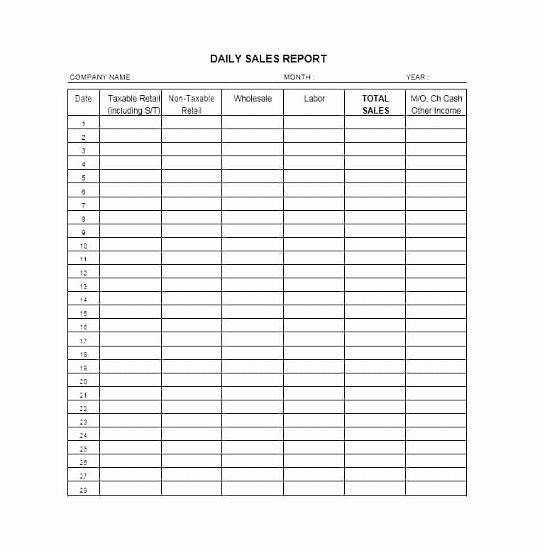 Daily Sales Report Template Awesome 45 Sales Report Templates [daily Weekly Monthly Salesman Reports]