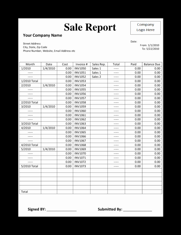 Daily Sales Report Template Luxury Sales Report Structure