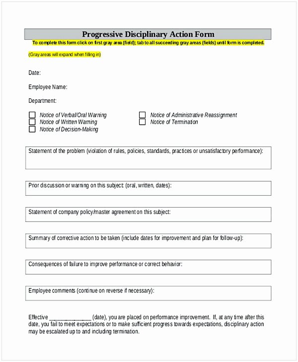 Disciplinary Action form Word Document Elegant Displinary forms