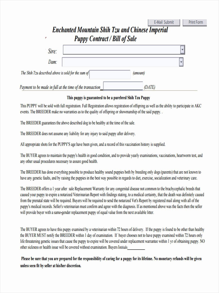 Dog Bill Of Sale Inspirational Dog Bill Of Sale form 5 Free Documents In Pdf