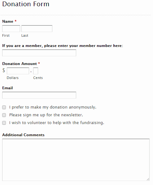 Donation form Template Word Unique 36 Free Donation form Templates In Word Excel Pdf