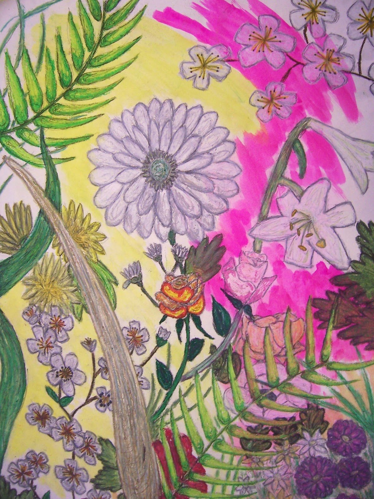 Drawings Of A Flower Luxury Digital Portfolio Observational Drawings From Flowers