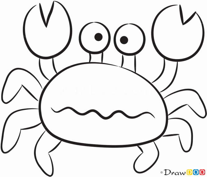 Drawings Of Sea Creatures Beautiful How to Draw Small Crab Sea Animals