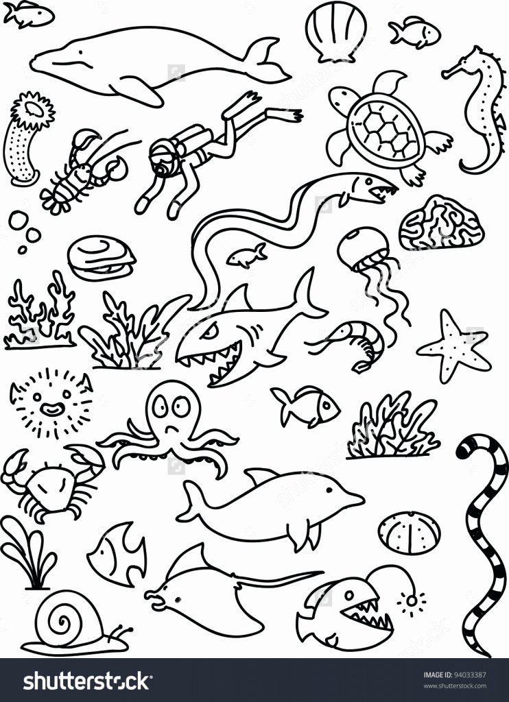 Drawings Of Sea Creatures Elegant Sea Creature Drawing at Getdrawings