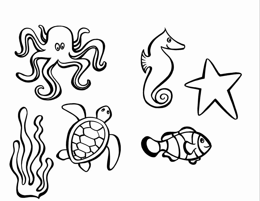 Drawings Of Sea Creatures Lovely Sea Creatures with Measles