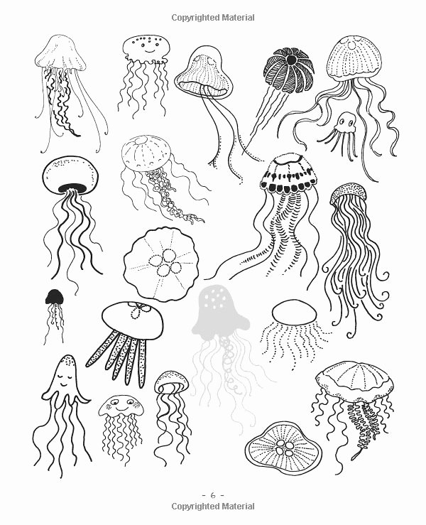 Drawings Of Sea Creatures New 20 Ways to Draw A Jellyfish and 44 Other Amazing Sea Creatures A Sketchbook for Artists
