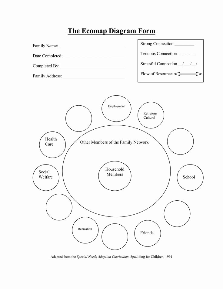 Ecomap social Work Template Best Of Individual E Ap Example at askives