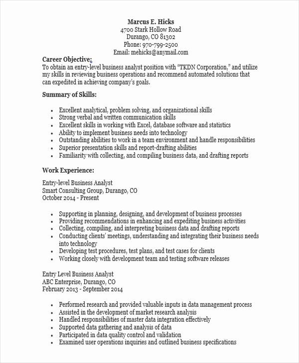 Entry Level Business Analyst Resume Luxury 40 Simple It Resume Templates Pdf Doc