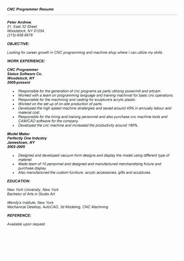 Entry Level Programmer Resume Awesome 11 12 Entry Level Sas Programmer Resume