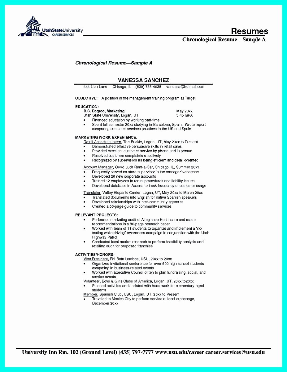 Entry Level Programmer Resume Beautiful 11 12 Entry Level Sas Programmer Resume