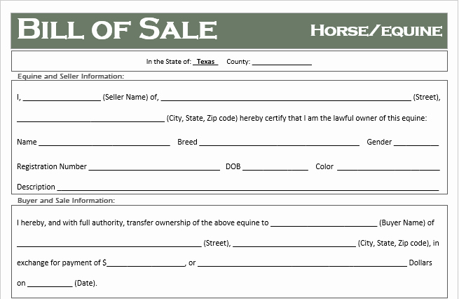 Equine Bill Of Sale Template Awesome Free Texas Horse Equine Bill Of Sale Template F Road Freedom