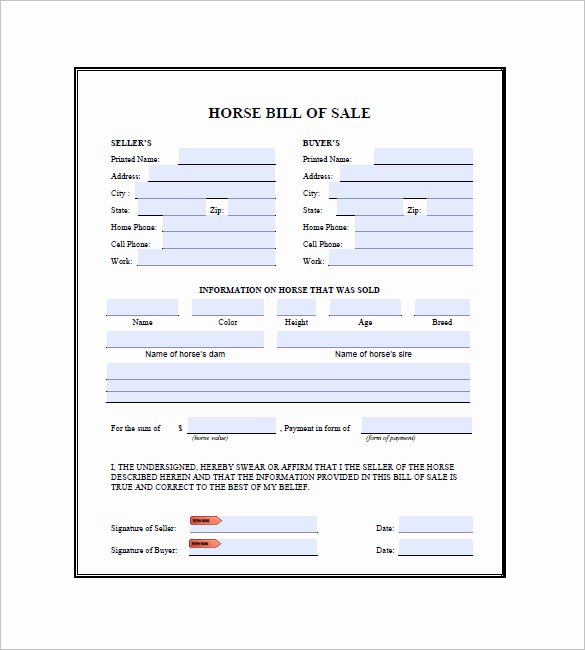 Equine Bill Of Sale Template Awesome Horse Bill Of Sale 9 Free Word Excel Pdf format Download