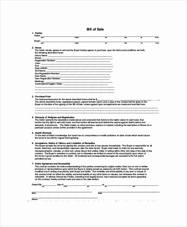Equine Bill Of Sale Template Best Of Sample Bill Of Sale 20 Examples In Pdf