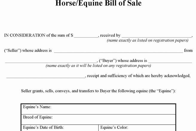 Equine Bill Of Sale Template Elegant Bill Of Sale form