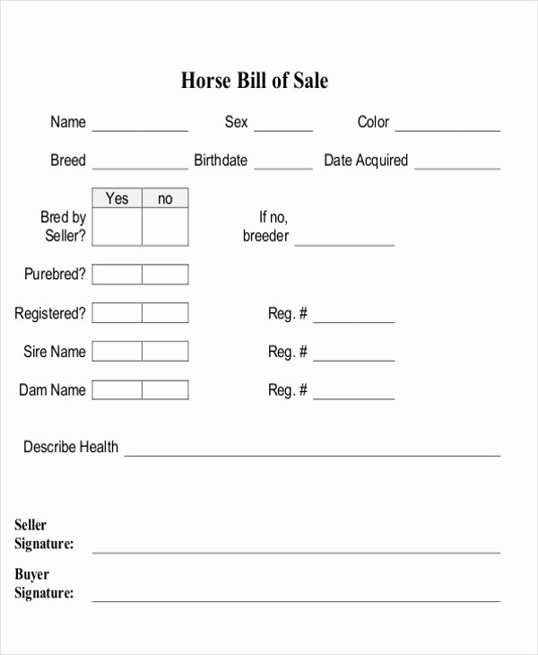 Equine Bill Of Sale Unique 9 Horse Bill Of Sale Examples In Word Pdf