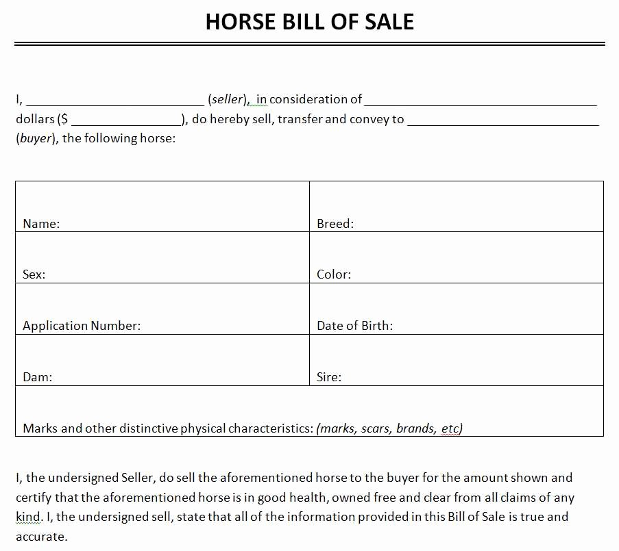 Equine Bill Of Sales Elegant Free Horse Bill Sale Template