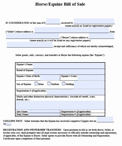 Equine Bill Of Sales Fresh Free Horse Equine Bill Of Sale form Pdf