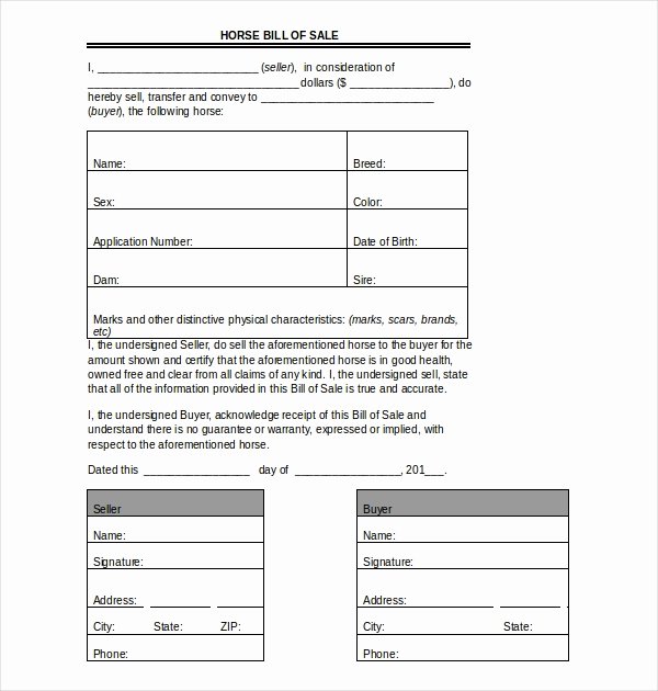 Equine Bill Of Sales New Free 7 Sample Horse Bill Of Sale forms In Pdf