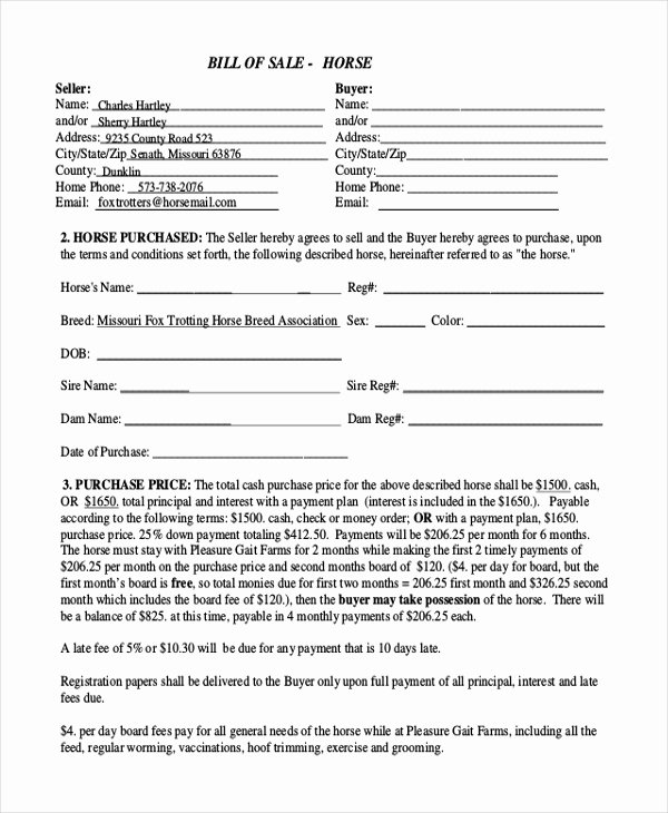 Equine Bill Of Sales Unique Simple Bill Of Sale form Sample 9 Free Documents In Pdf