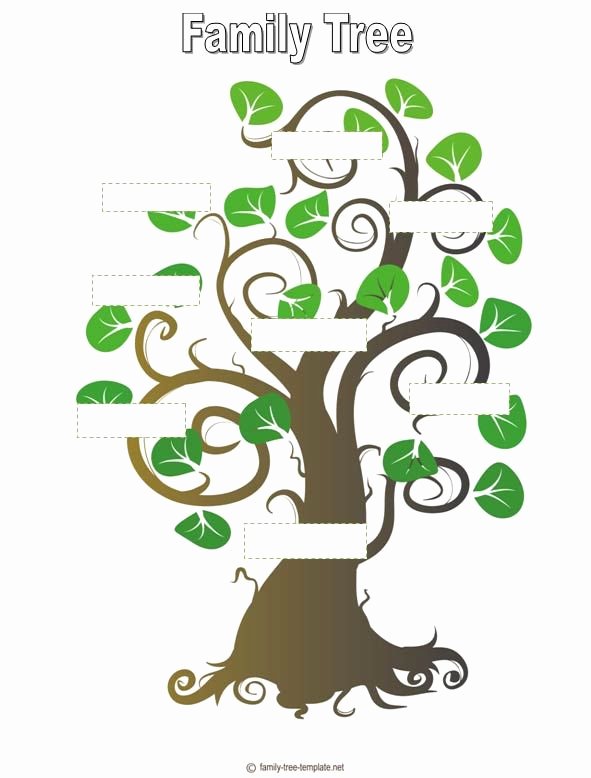 Family Tree Clip Art Templates Luxury Free Stencil A Tree Outline Download Free Clip Art