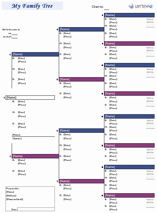 Family Tree Microsoft Word Best Of Free Family Tree Template