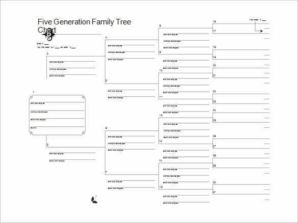 Family Tree Template Google Docs Elegant 36 Genogram Templates Pdf Word Apple Pages Google