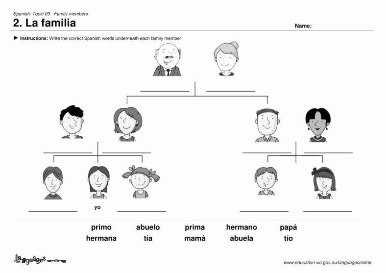 Family Tree Worksheet Pdf Awesome 21 Examples Of Family Tree Pdf Doc