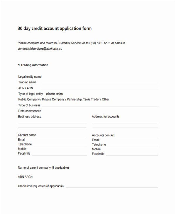 Ford Credit Application Pdf Elegant Free 31 Credit Application forms