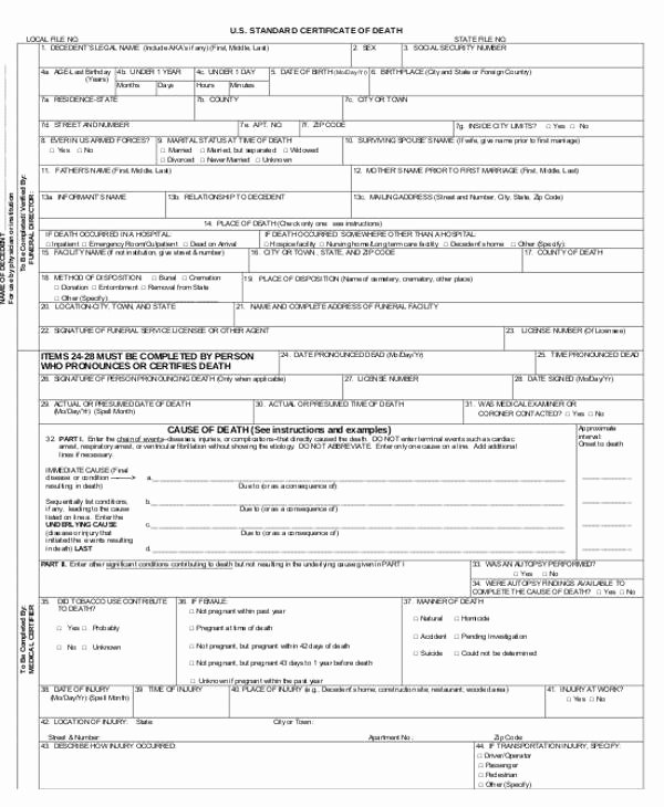 Free Death Certificate Template Fresh who issues Death Certificates