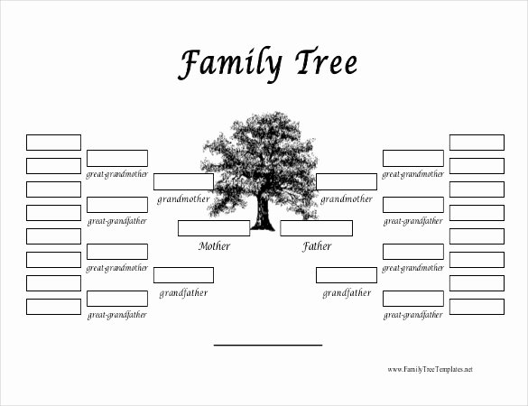 Free Family History Book Template Fresh 35 Family Tree Templates Word Pdf Psd Apple Pages