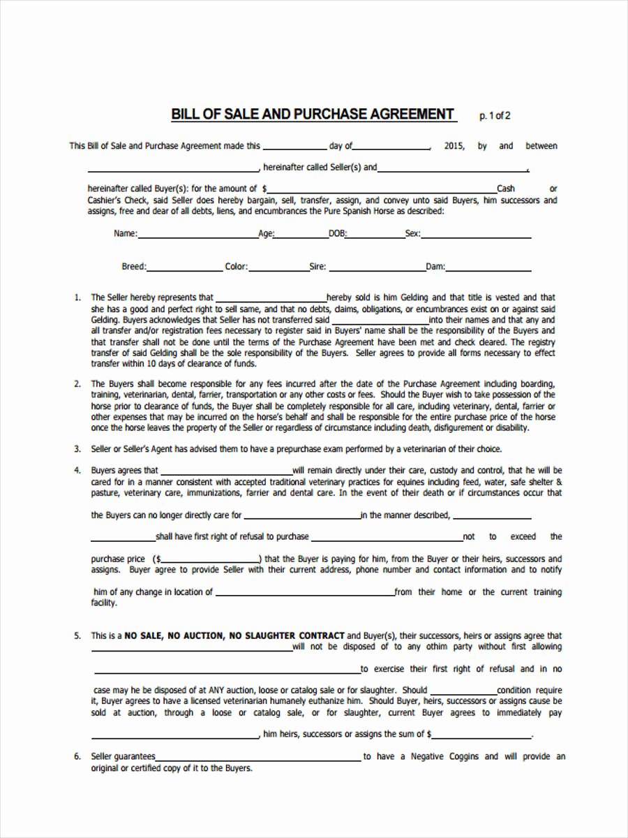 Free Horse Bill Of Sale Best Of Free 6 Horse Bill Of Sale form In Sample Example format