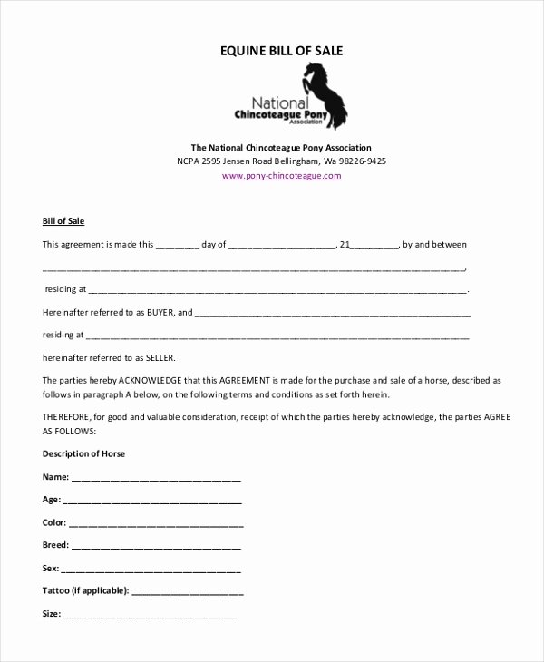 Free Horse Bill Of Sale Lovely Simple Bill Of Sale form Sample 9 Free Documents In Pdf