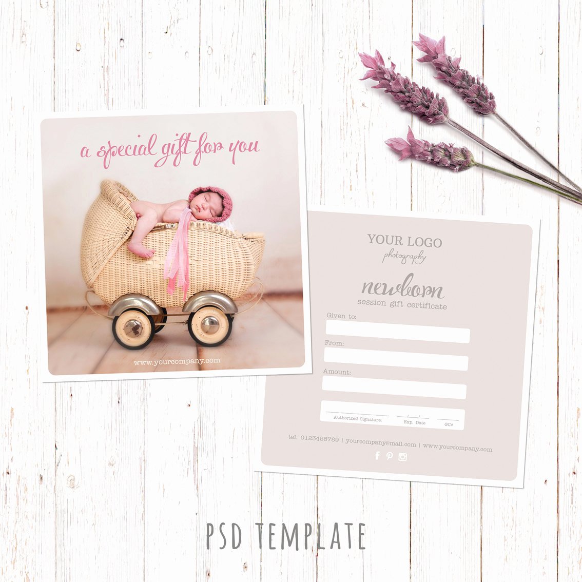 Gift Certificate for Photography Session Best Of Gift Certificate Template Newborn Session Photography T