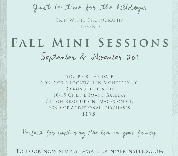 Gift Certificate for Photography Session Unique Fall Minis are Here