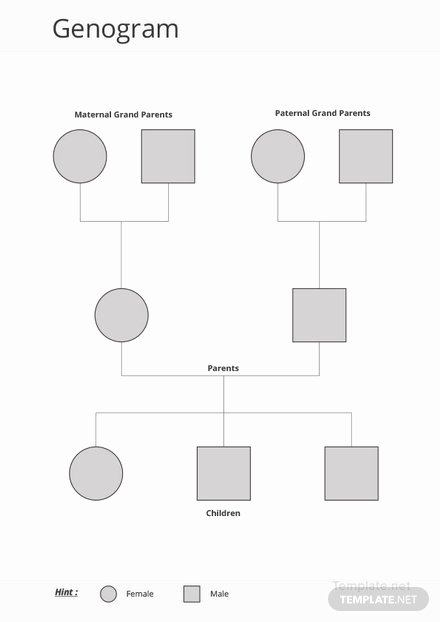 Google Family Tree Template Beautiful Basic Genogram Template Download 38 Family Trees In Word Pdf Pages