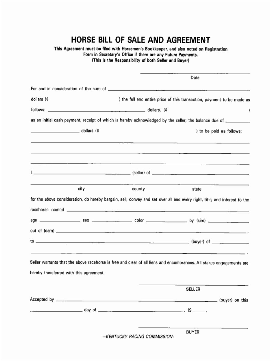 Horse Bill Of Sale form Beautiful Free 6 Horse Bill Of Sale form In Sample Example format
