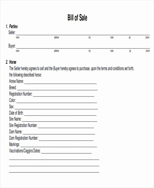 Horse Bill Of Sale form Fresh 9 Horse Bill Of Sale Examples In Word Pdf