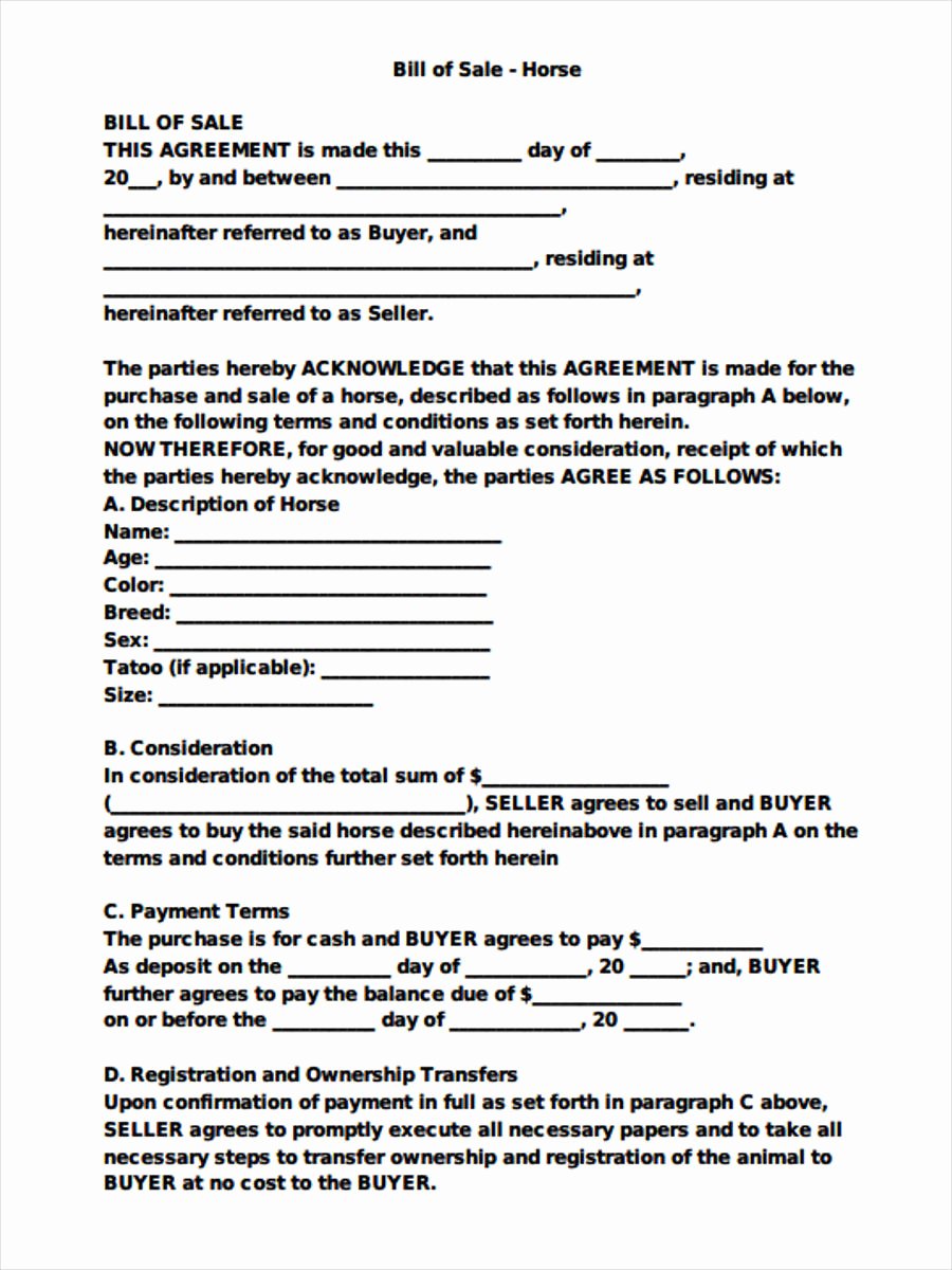 Horse Bill Of Sale form Inspirational Free 29 Sample Bill Of Sale forms