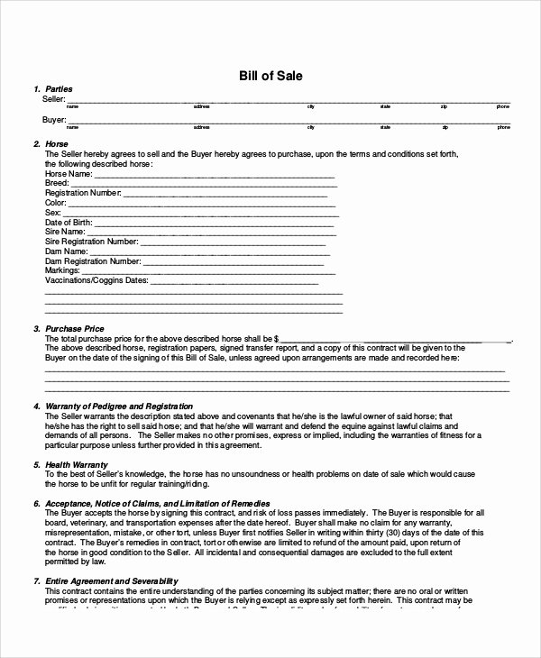 Horse Bill Of Sale form Lovely Sample Bill Of Sale form In Pdf 12 Examples In Pdf
