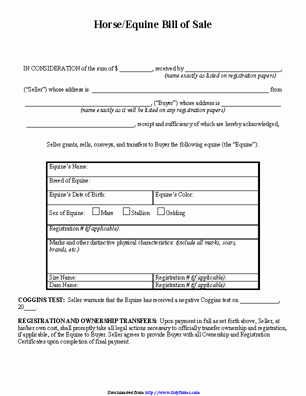 Horse Bill Of Sale forms Awesome Horse Equine Bill Sale Pdfsimpli