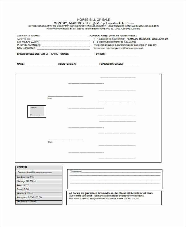 Horse Bill Of Sale forms Elegant Free 36 Bill Of Sale forms In Word