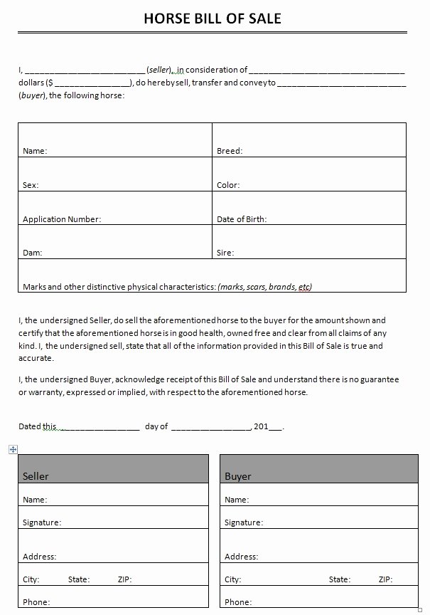 Horse Bill Of Sale forms New Bill Of Sale Templates Ficetemplate