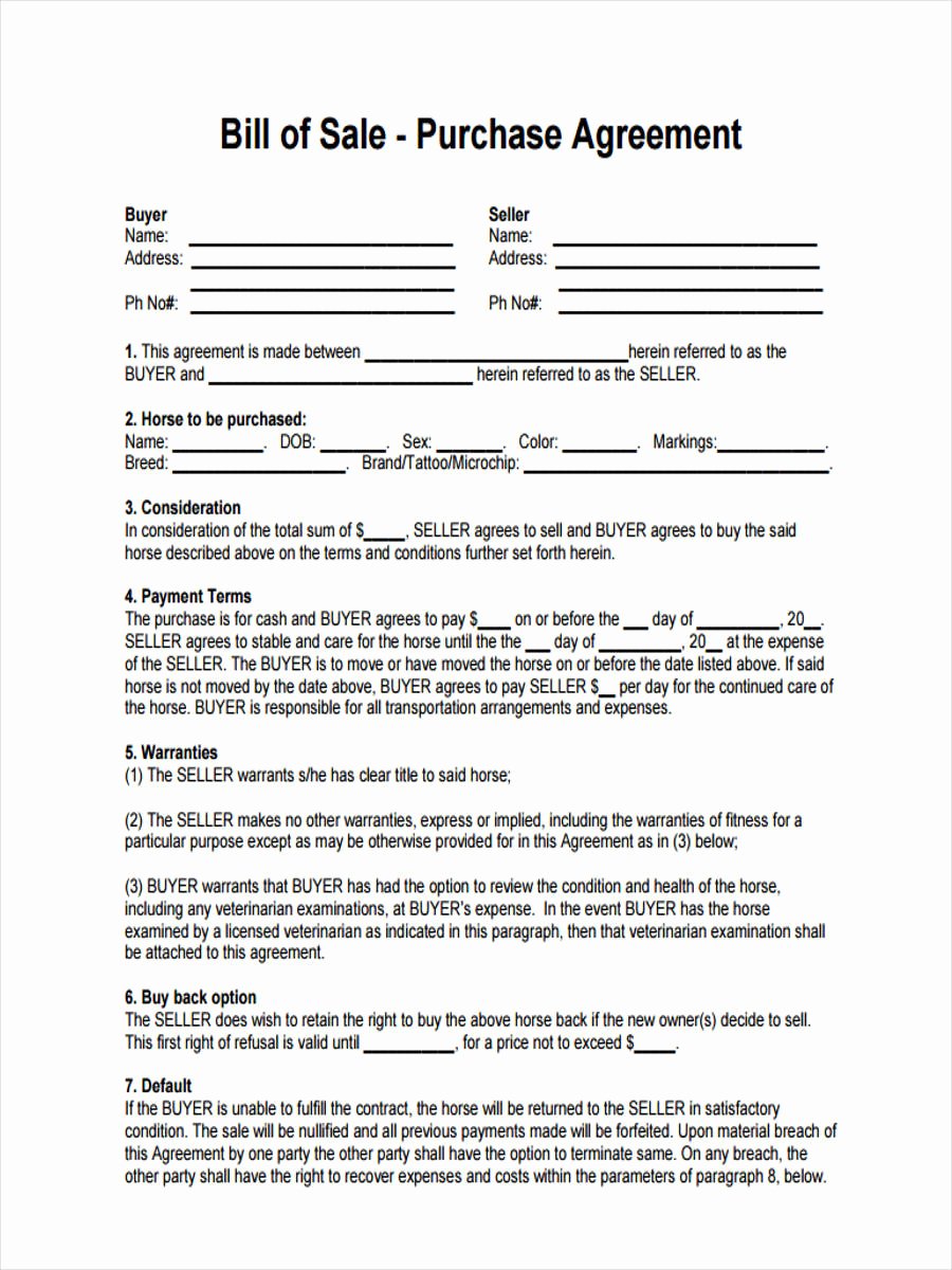 Horse Bill Of Sale forms New Free 6 Horse Bill Of Sale form In Sample Example format