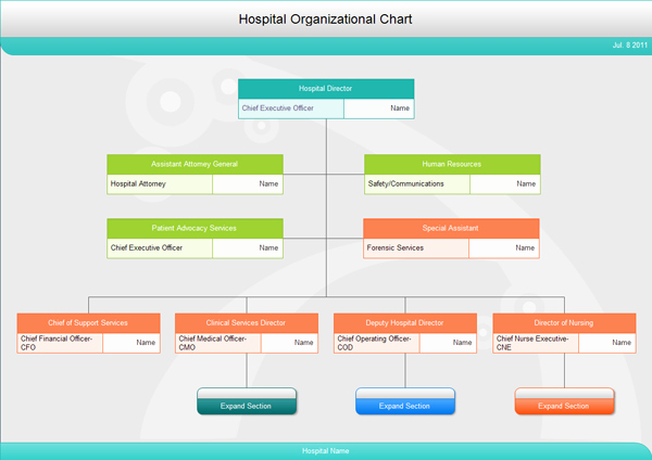 Hospital organizational Chart Examples Awesome Free Download Hospital organizational Charts