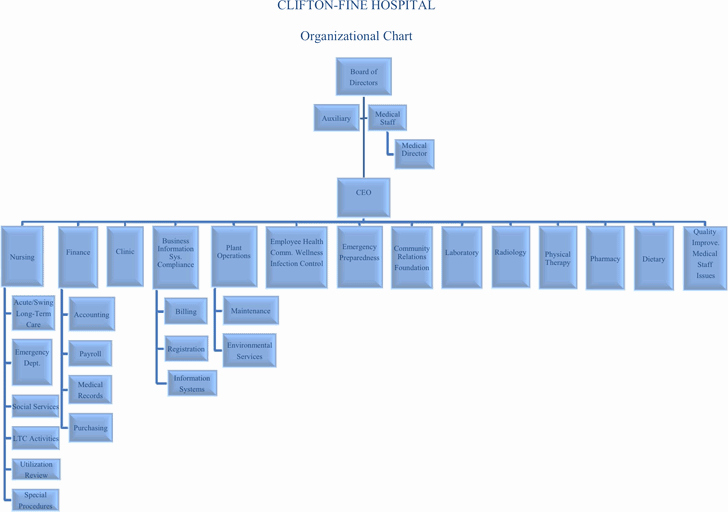 Hospital organizational Chart Examples Awesome Hospital organizational Chart Template Free Download