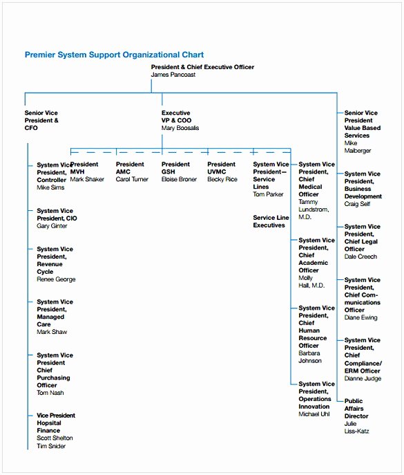 Hospital organizational Chart Examples Elegant Hospital organizational Chart