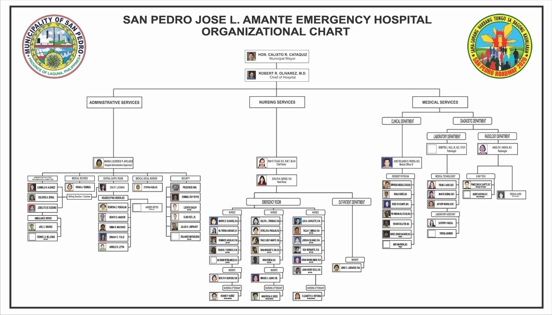 Hospital organizational Chart Examples Lovely Hospital org Chart Examples