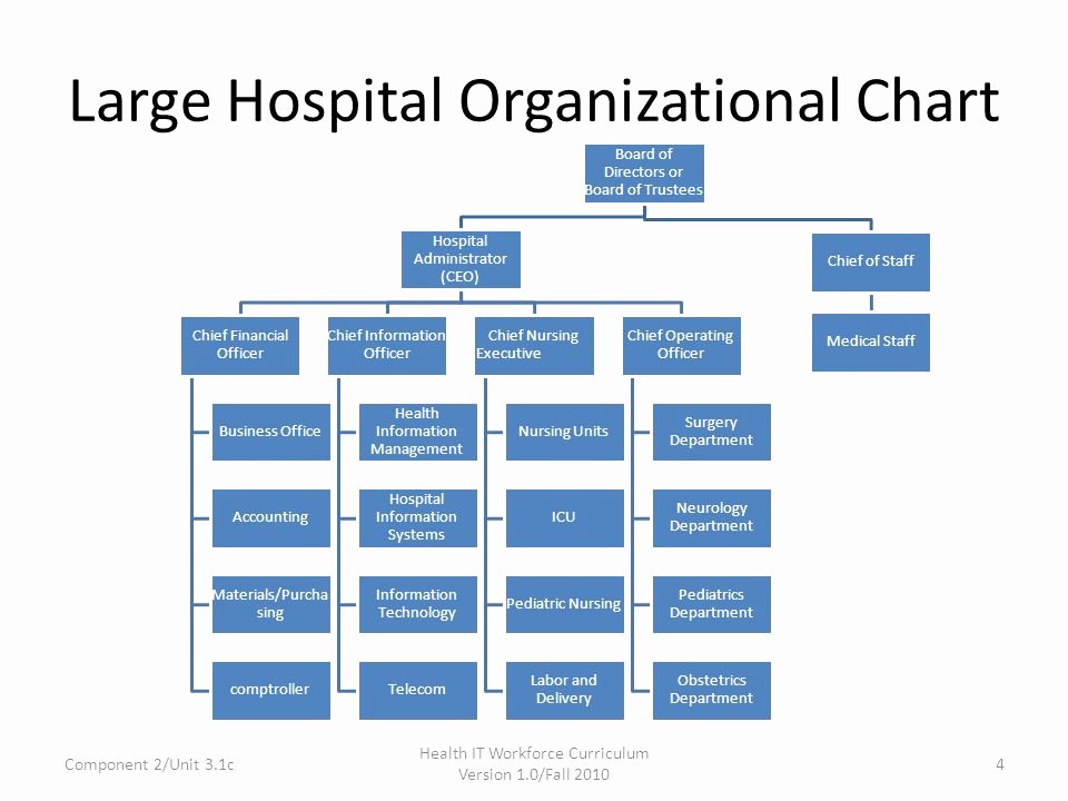 Hospital organizational Chart Examples Lovely Powerpoint organizational Structure Va Hospital