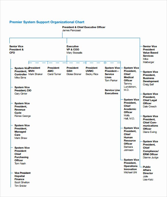 Hospital organizational Chart Examples Lovely Sample Hospital organizational Chart 9 Documents In Pdf