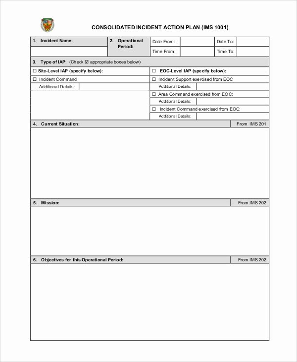 Incident Action Plan Example New Sample Incident Action Plan 6 Documents In Pdf Word